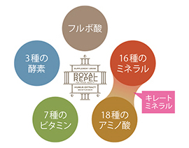1日5組限定】一回で違いがわかる大阪 都島区 野江内代駅徒歩1分の艶髪サロン【大人女性のマイナス10歳を叶える美容室】完全マンツーマン形式【頭皮改善&髪質改善専門】完全予約制プライベートサロン・美容室/美容院 leaLEA(レアレア)hair&relaxation