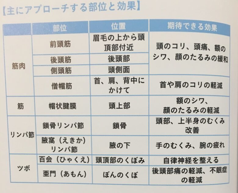 部位と効果