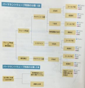 パーマの種類と分類