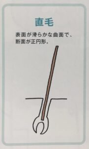 直毛