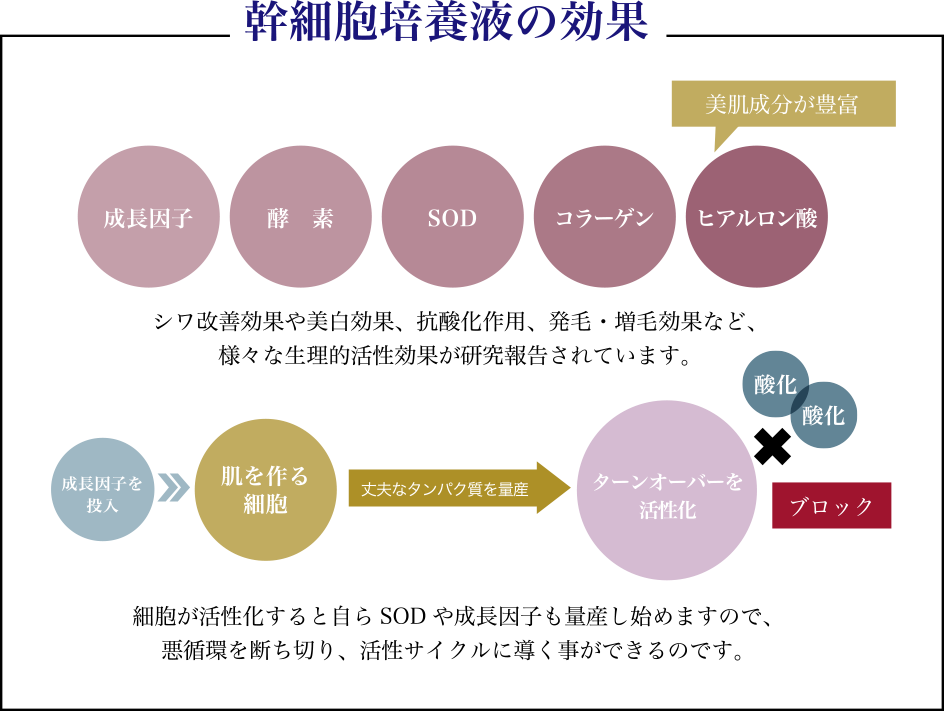 1日5組限定】一回で違いがわかる大阪 都島区 野江内代駅徒歩1分の艶髪サロン【大人女性のマイナス10歳を叶える美容室】完全マンツーマン形式【頭皮改善&髪質改善専門】完全予約制プライベートサロン・美容室/美容院 leaLEA(レアレア)hair&relaxation
