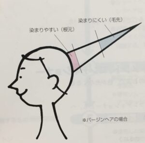 染まりやすい