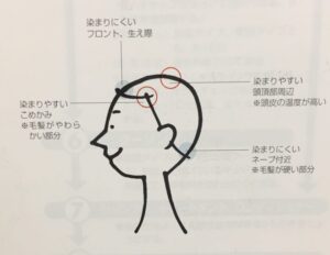 染めりやすい・染まりにくい
