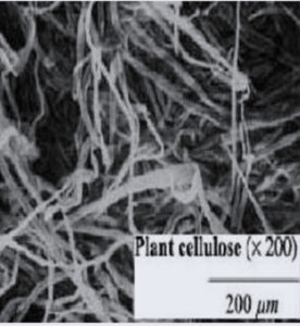 植物セルロース